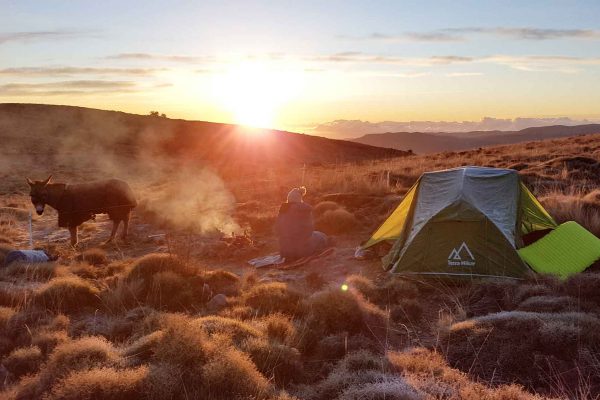 SierraNevada_Der schönes Sonnenaufgang_LottaLubkoll